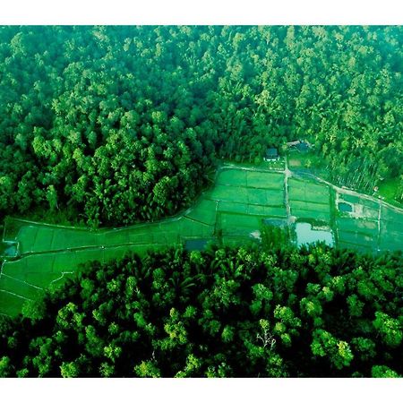 Vayal Veedu - Luxury Farm Villas By The Woods Muthanga Buitenkant foto