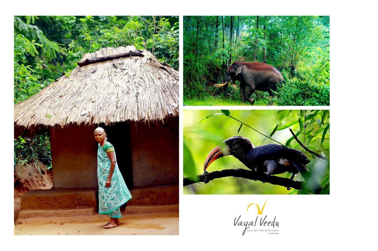 Vayal Veedu - Luxury Farm Villas By The Woods Muthanga Buitenkant foto
