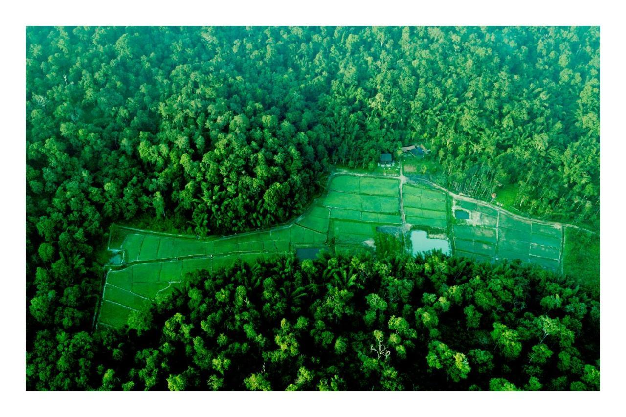 Vayal Veedu - Luxury Farm Villas By The Woods Muthanga Buitenkant foto