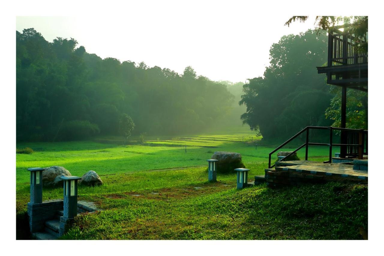 Vayal Veedu - Luxury Farm Villas By The Woods Muthanga Buitenkant foto