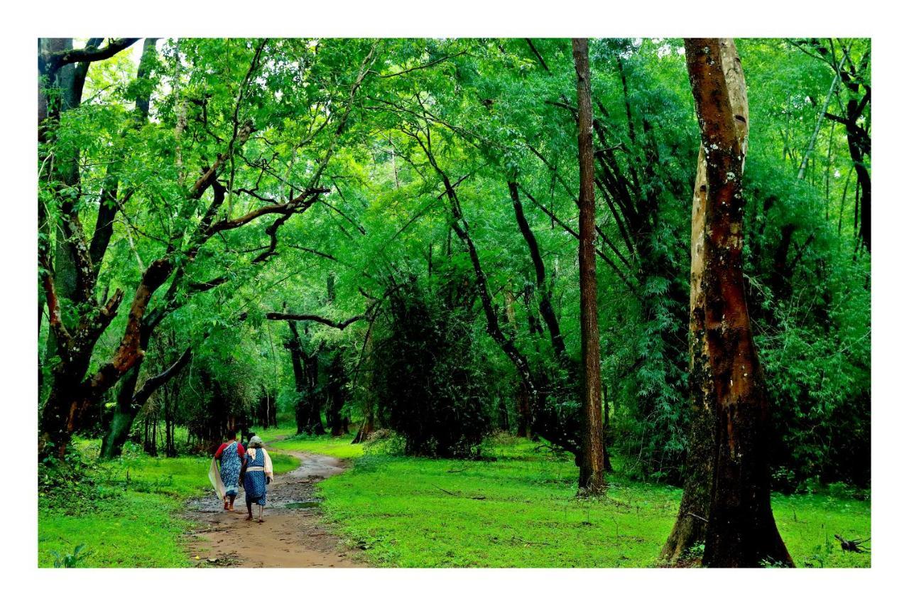 Vayal Veedu - Luxury Farm Villas By The Woods Muthanga Buitenkant foto